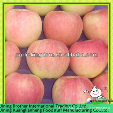 China red star apple exporter